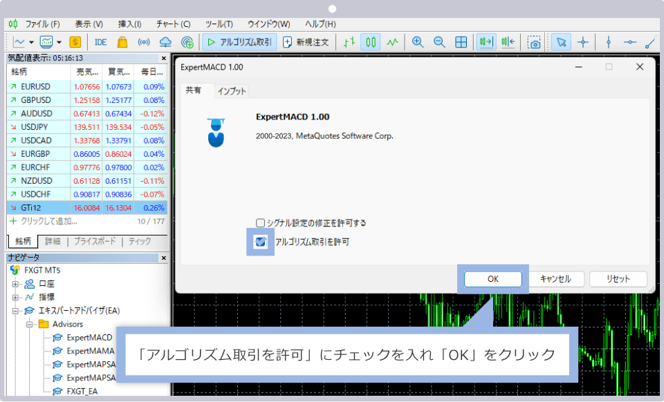 「アルゴリズム取引を許可」にチェックを入れ「OK」をクリック