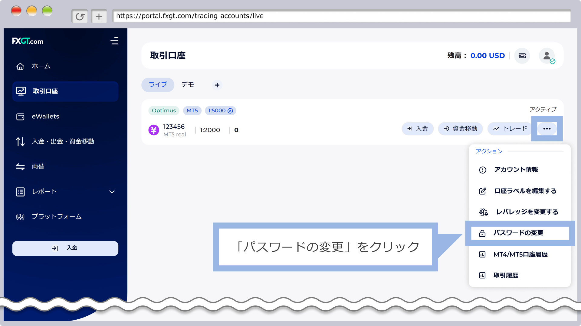 FXGT MT5ログイン情報表示