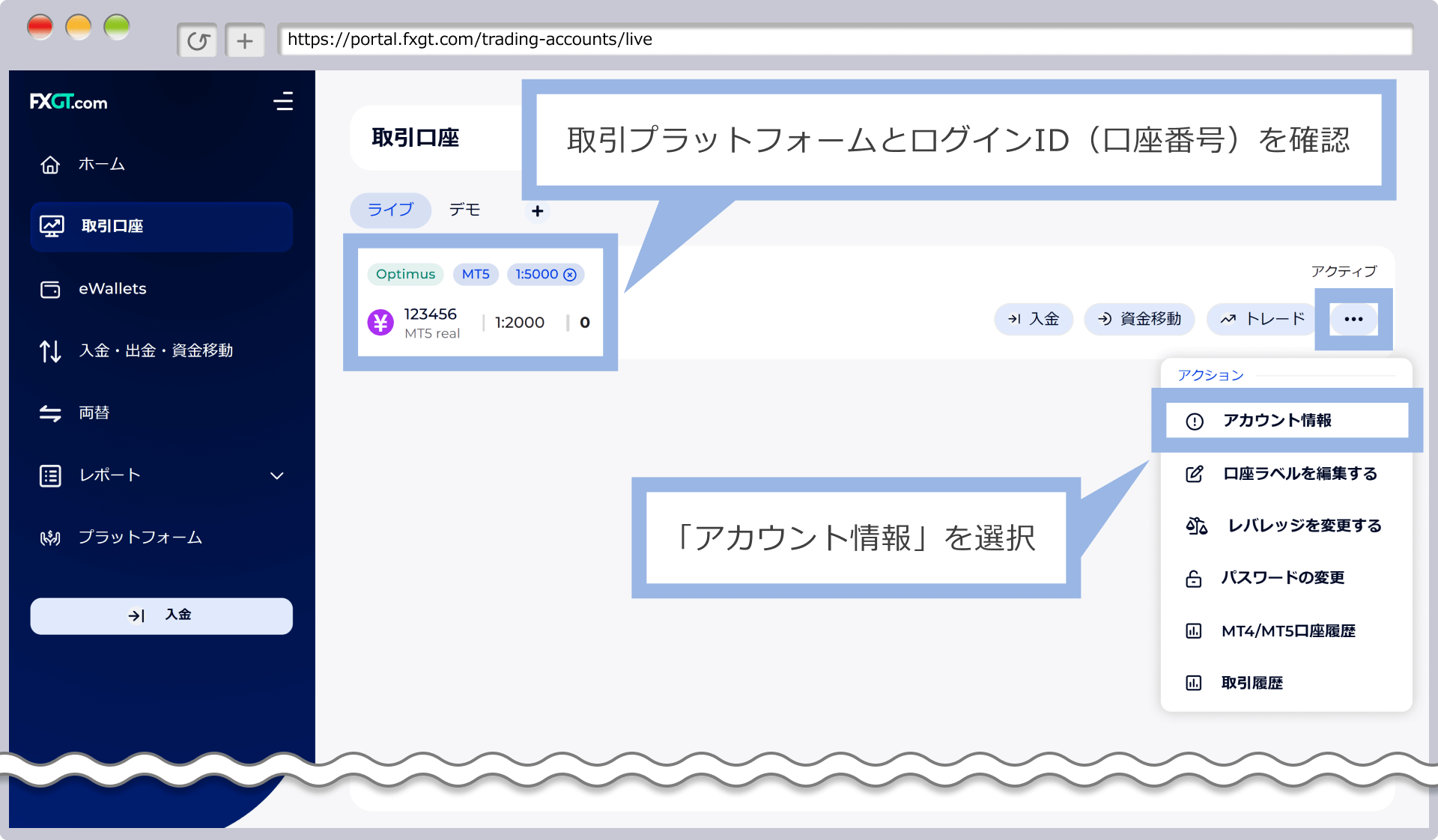 FXGT MT5ログイン情報表示