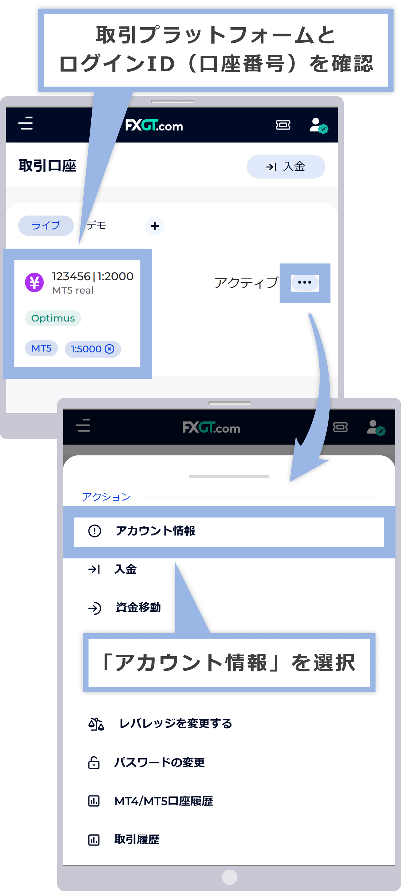 FXGT MT5ログイン情報表示