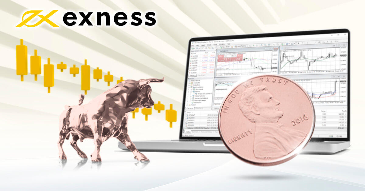 Exness（エクスネス）のスタンダードセント口座とは？特徴や活用方法を解説 | Exness | FXプラス™