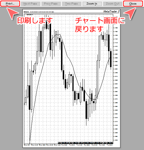 チャート印刷プレビュー画面