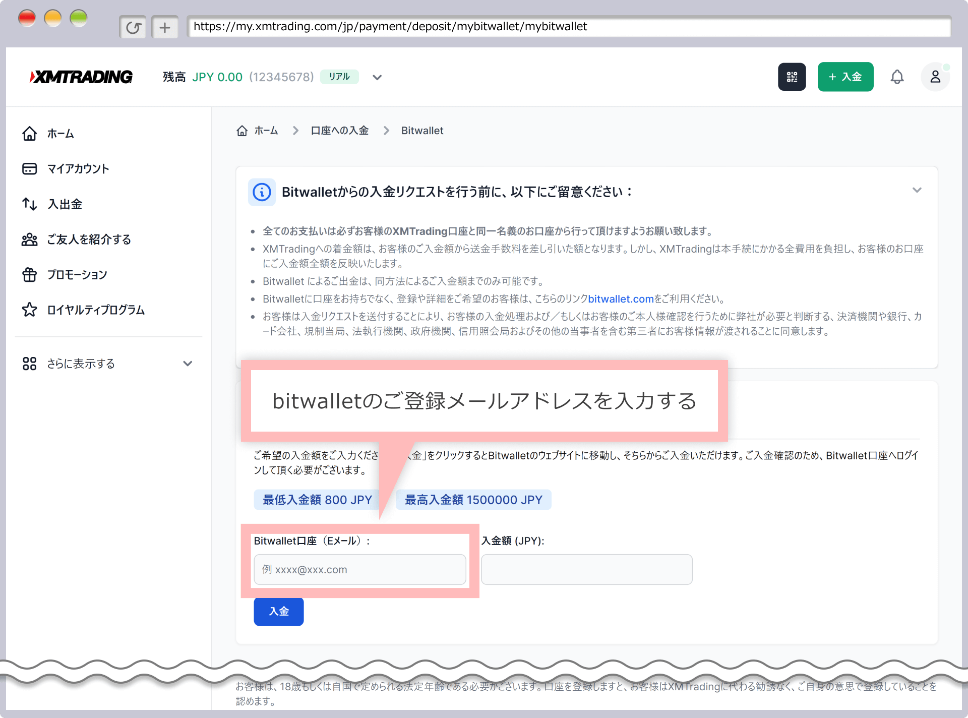 XM 資金の入金画面（bitwallet/STICPAY）
