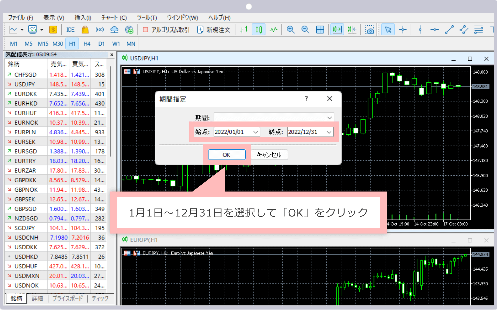 1月1日~12月31日を選択して「OK」をクリック